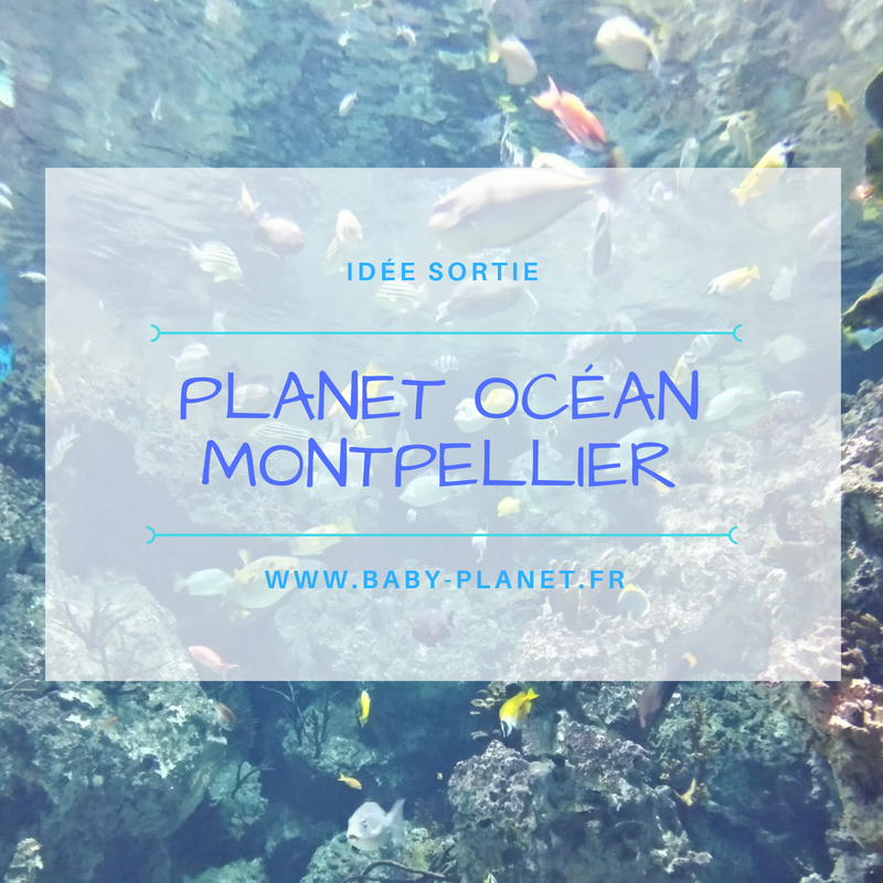 Sortie : Planet Océan _ Montpellier
