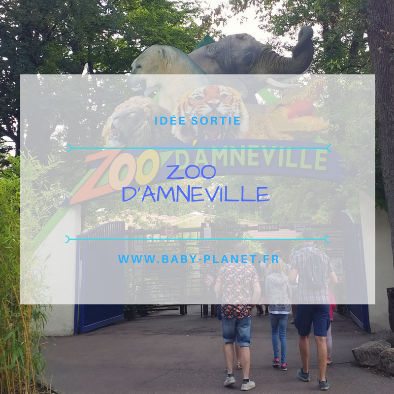 Sortie : Zoo d’Amnéville